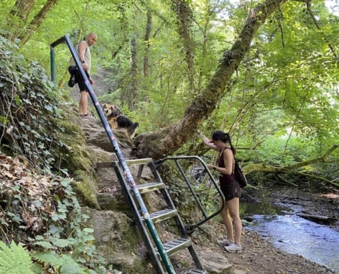 Ehrbachklamm mit Hund