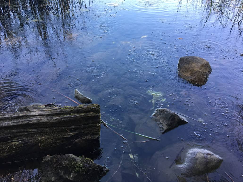 Mofetten am Laacher See